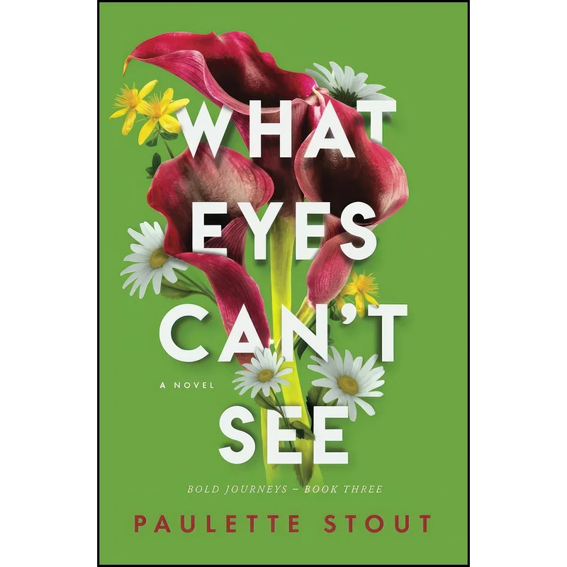 کتاب What Eyes Cant See اثر Paulette Stout انتشارات تازه ها