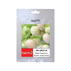 بذر میوه توت فرنگی سفید بذرینو کد BZNO-116