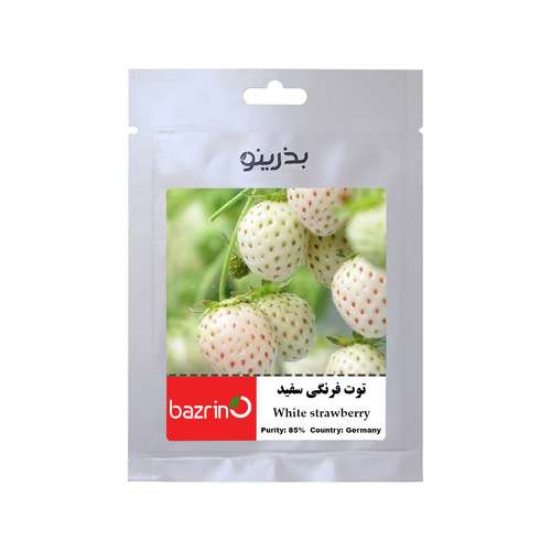 بذر میوه توت فرنگی سفید بذرینو کد BZNO-116
