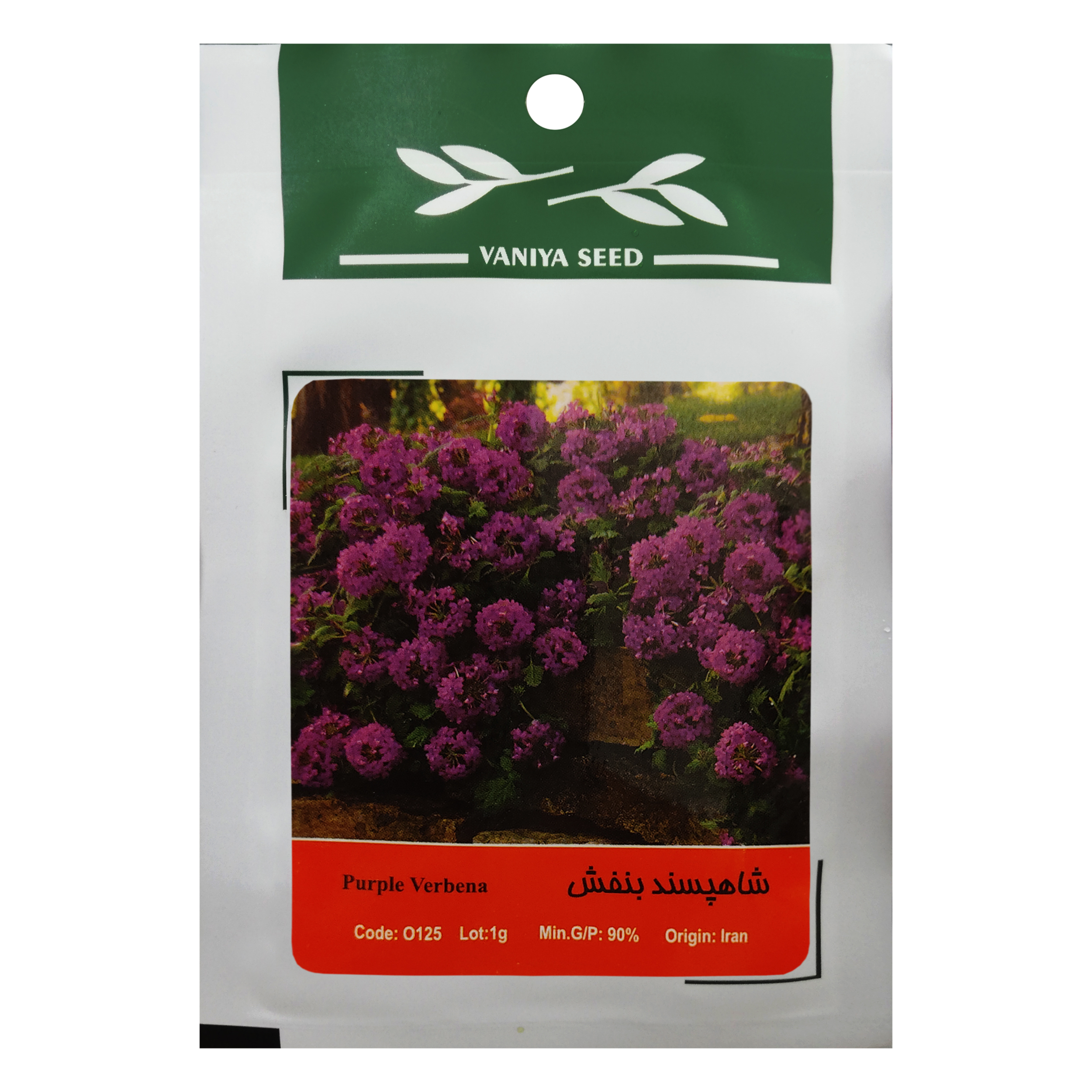 بذر گل شاهپسند بنفش وانیا سید مدل O125