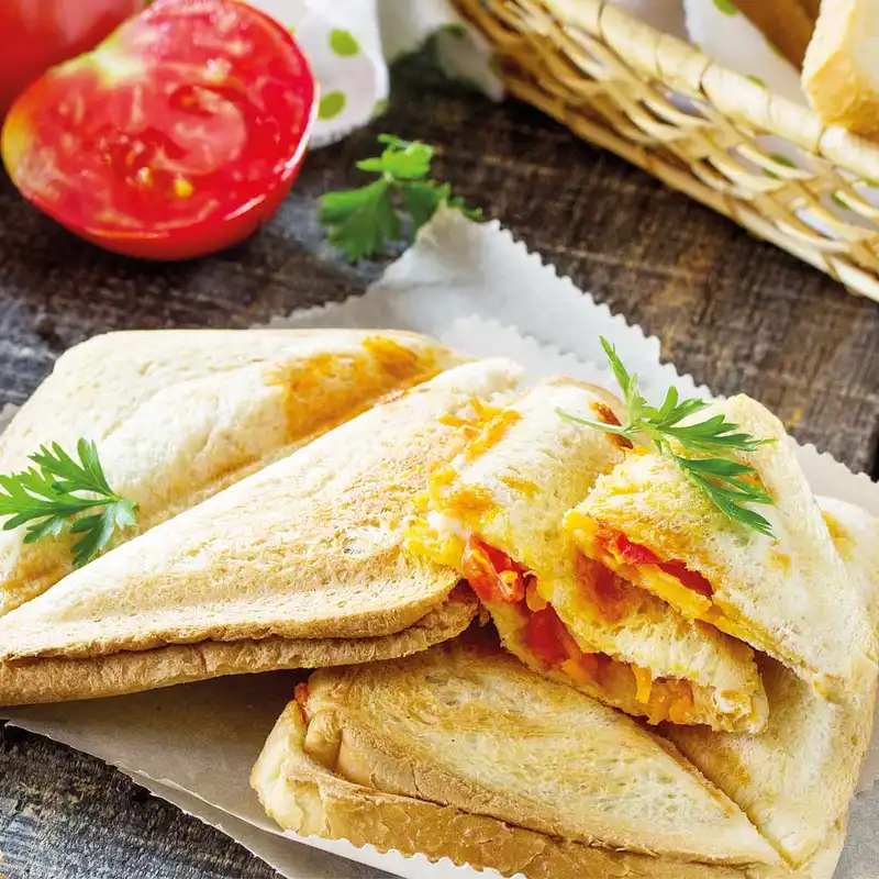 ساندویچ ساز گاستروبک کد 42443