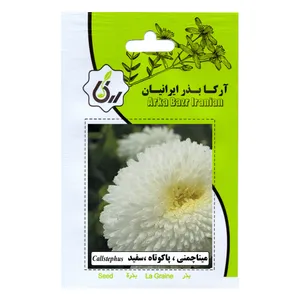 بذر مینا چمنی پا کوتاه سفید آرکا بذر ایرانیان مدل C149