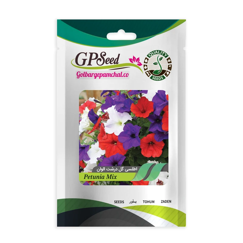 بذر گل اطلسی ایرانی گل درشت پرگل الوان گلبرگ پامچال کد GPF-019