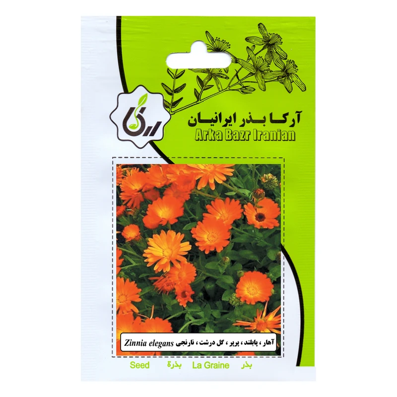 بذر گل آهار پابلند پرپرگل درشت نارنجی آرکا بذر ایرانیان کد 73-ARK