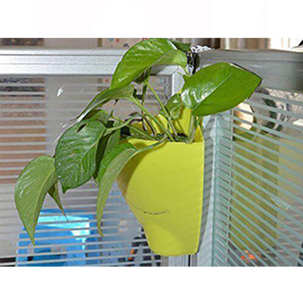 گلدان مدل متین بسته 24 عددی گلدان مدل متین بسته 24 عددی