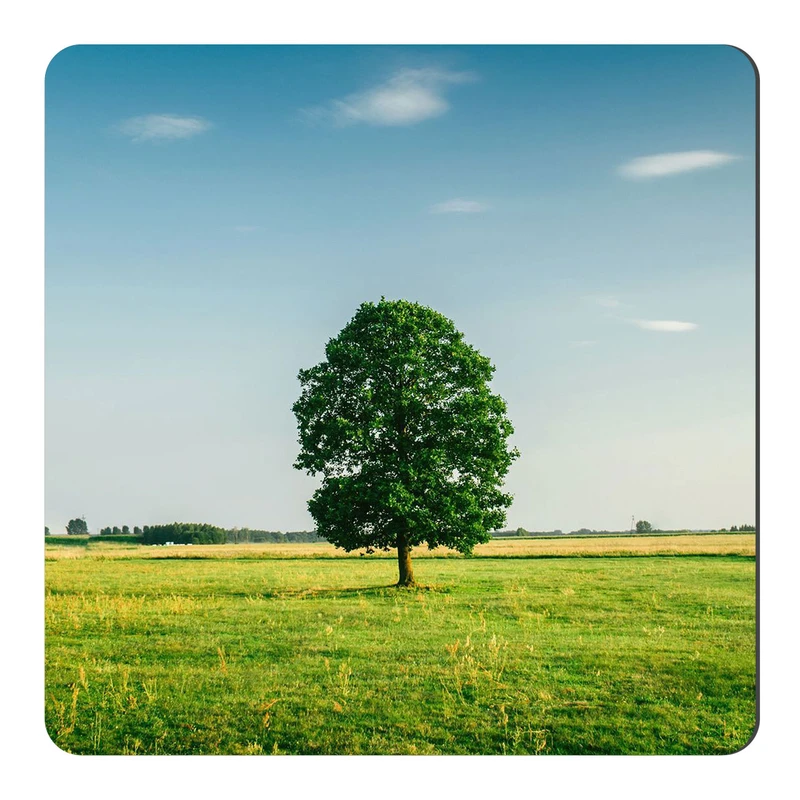 	 مگنت طرح تک درخت و دشت سبز کد NIM2094
