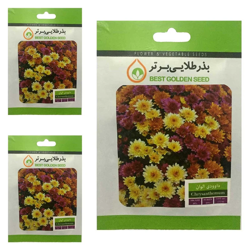 بذر گل داوودی الوان بذر طلایی برتر کد BTB-16 مجموعه 3 عددی