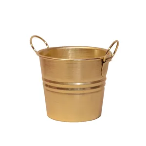 گلدان مدل کلاسیک گوشواره ای