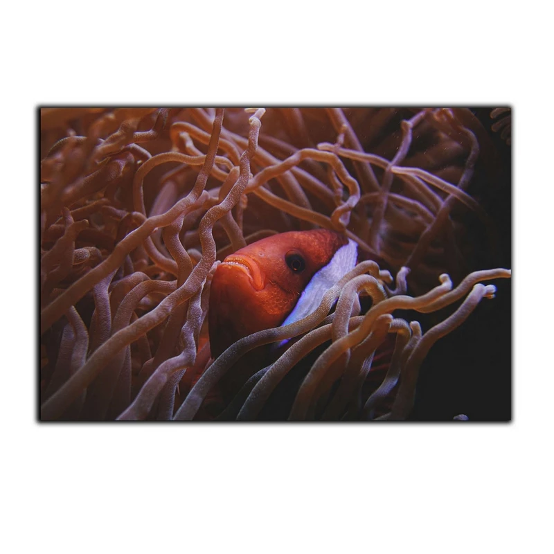 تابلو شاسی بکلیت طرح اقیانوس مرجان دریایی مدل SH-7475