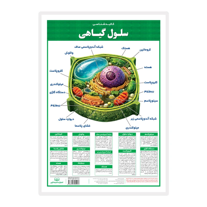 پوستر آموزشی انتشارات اندیشه کهن مدل کالبدشناسی سلول گیاهی کد LA3