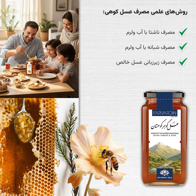 عسل طبیعی چهل گیاه کوهستان فروردین - 650 گرم