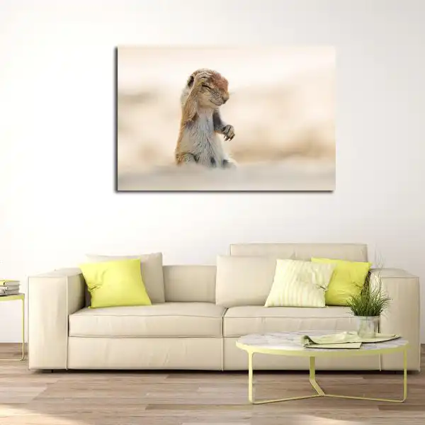 تابلو شاسی مدل سنجاب کد 6