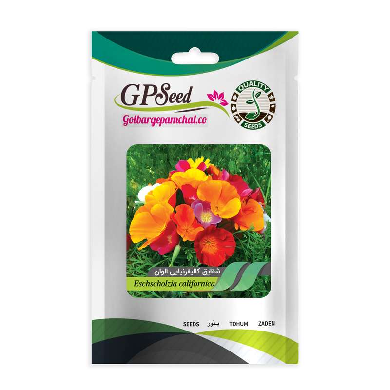 بذر گل شقایق کالیفرنیایی الوان گلبرگ پامچال کد GPF-062