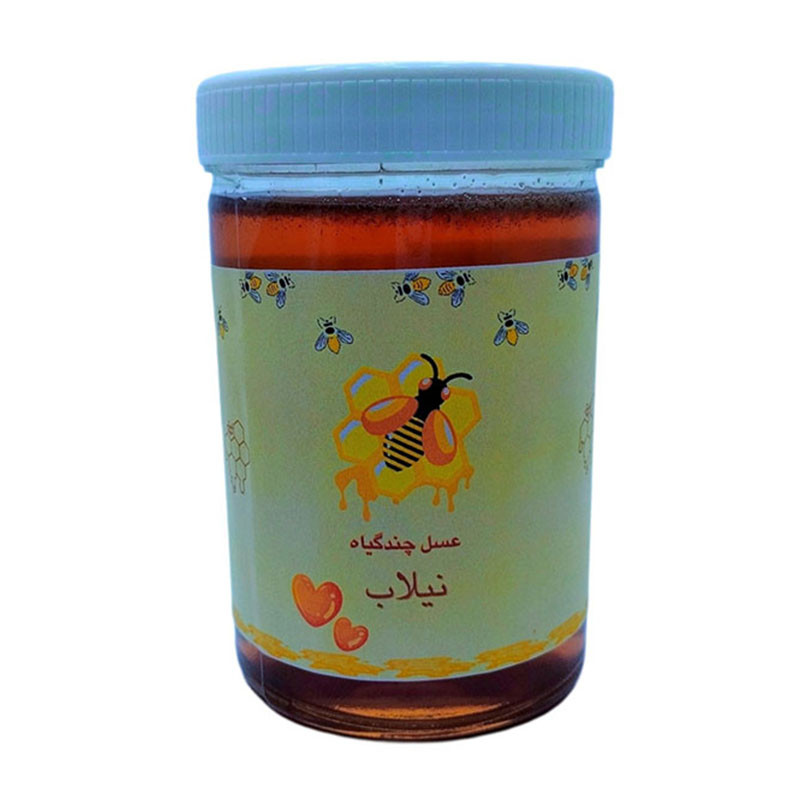 عسل چندگیاه نیلاب - 910 گرم