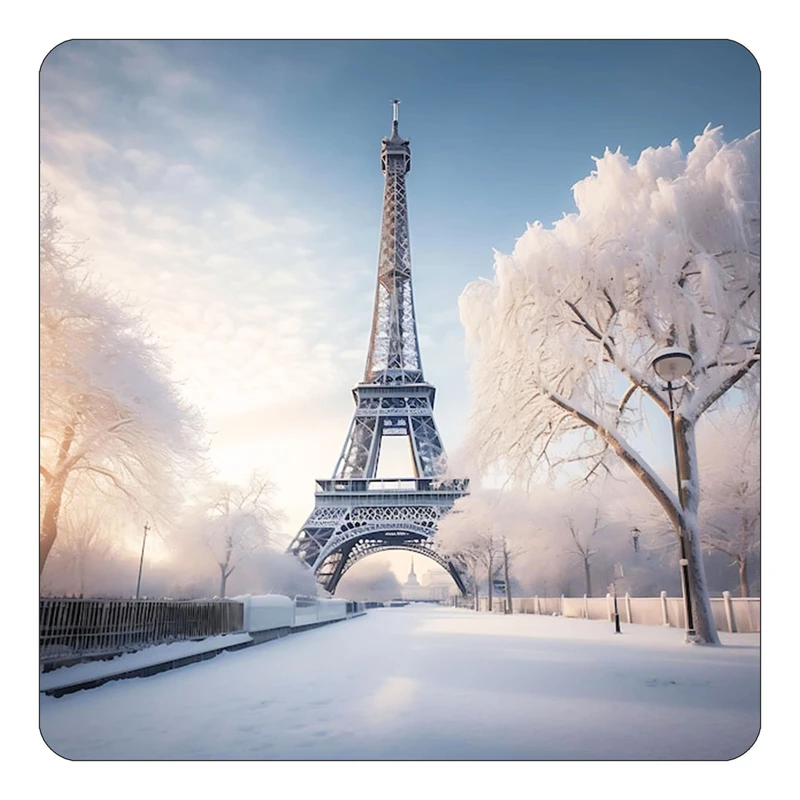 مگنت کاکتی طرح پاریس Paris مدل mp57443