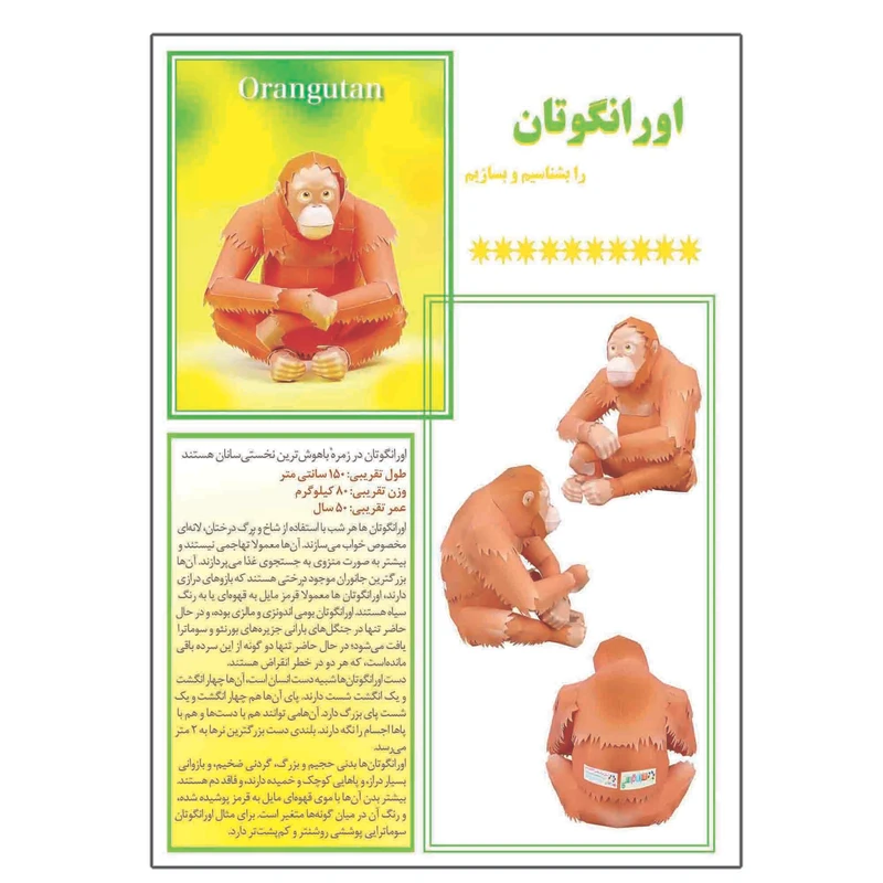 کتاب اورانگوتان را بشناسیم و بسازیم اثر م محمددوست انتشارات کاردستی