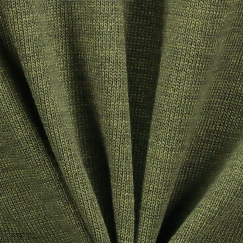 پلیور مردانه تریکو پاییزان مدل LOZ یقه گرد رنگ زیتونی