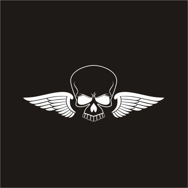 برچسب بدنه خودرو لیزارد مدل اسپورت طرح بال اسکلت کد LZD-818