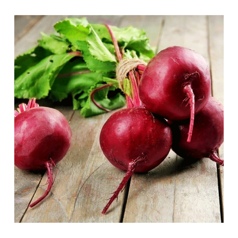 بذر لبو  کد L-1