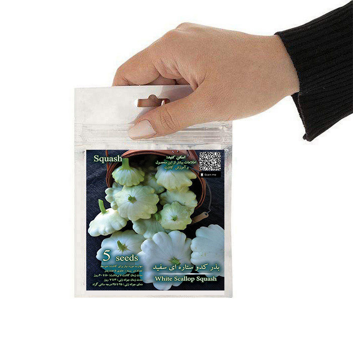 بذر کدو ستاره ای سفید مدل GL05