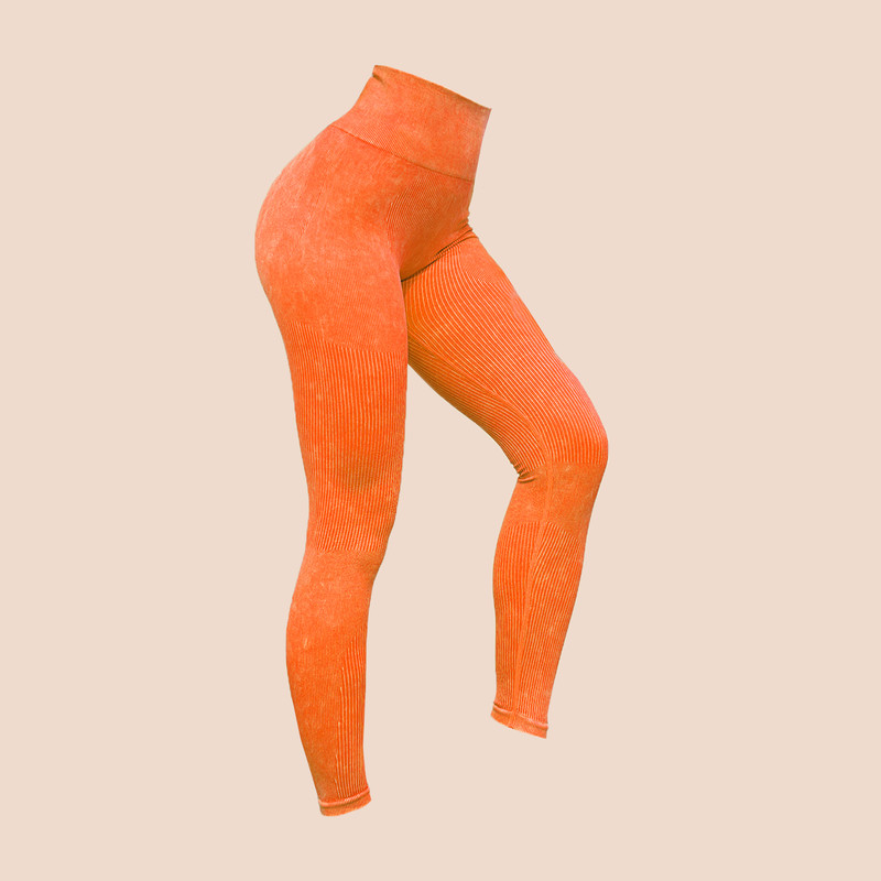 ست نیم تنه و لگینگ ورزشی زنانه مدل پارادایس سیملس زیپ دار کد FL-NL32416