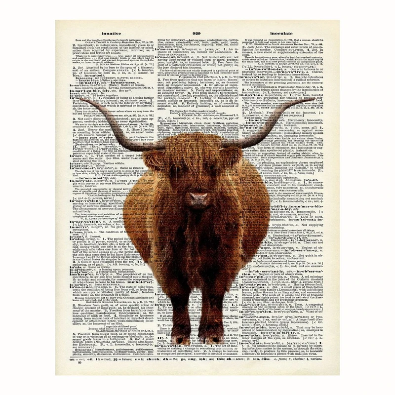 پوستر مدل هنر لغت با چاپ گاو هایلند