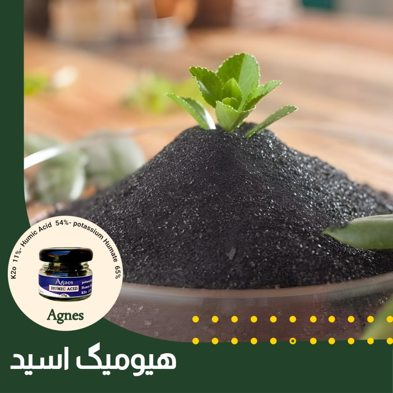 کود هیومیک اسید آگنس مدل AgHumicm وزن 15 گرم