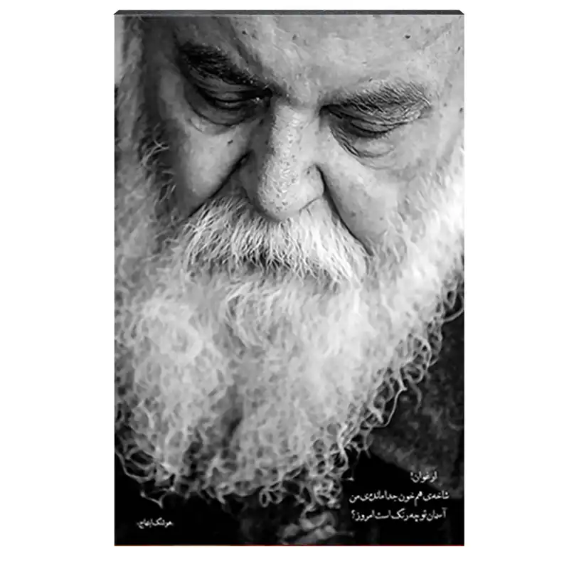 تابلو شاسی طرح هوشنگ ابتهاج کد 4G253