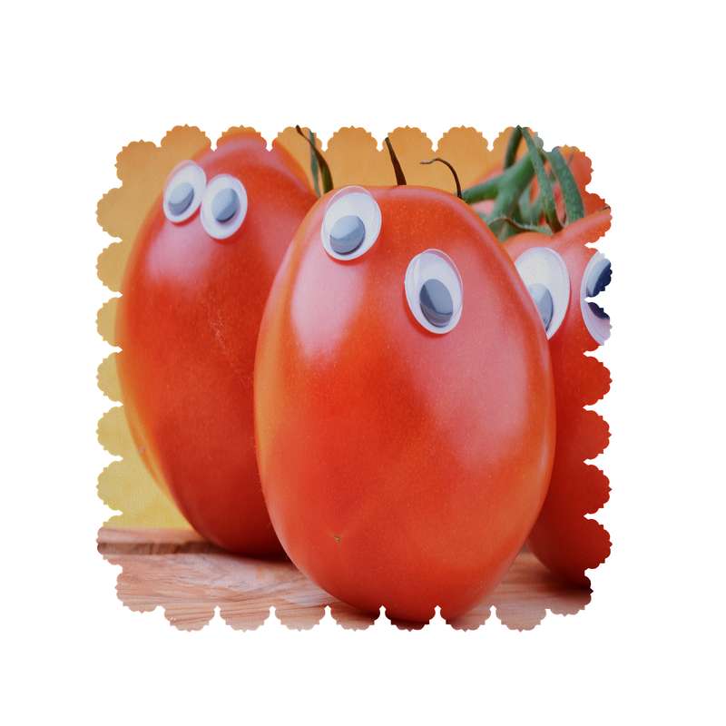  رومیزی طرح گوجه فرنگی کد 6326B