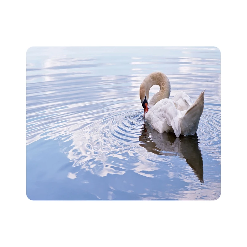 ماوس پد اطلس آبی طرح قو و برکه مدل T7823