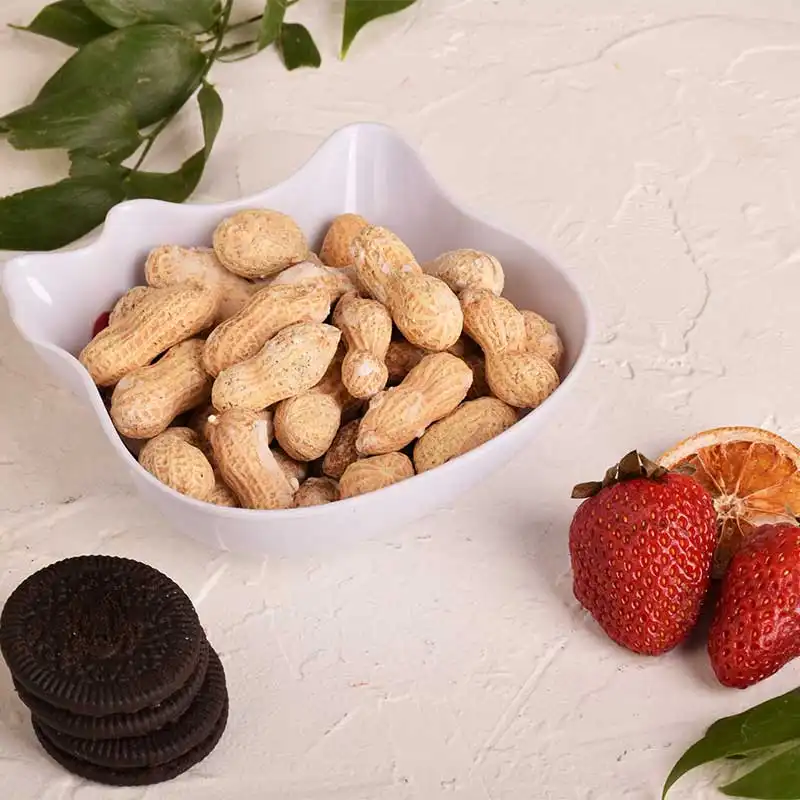 کاسه کودک مهروز   طرح کیتی KT-2200