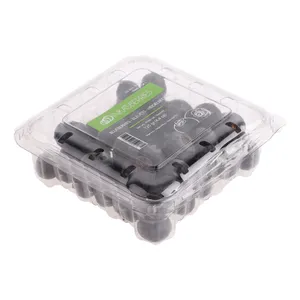 بلوبری Fresh وزن 125 گرم