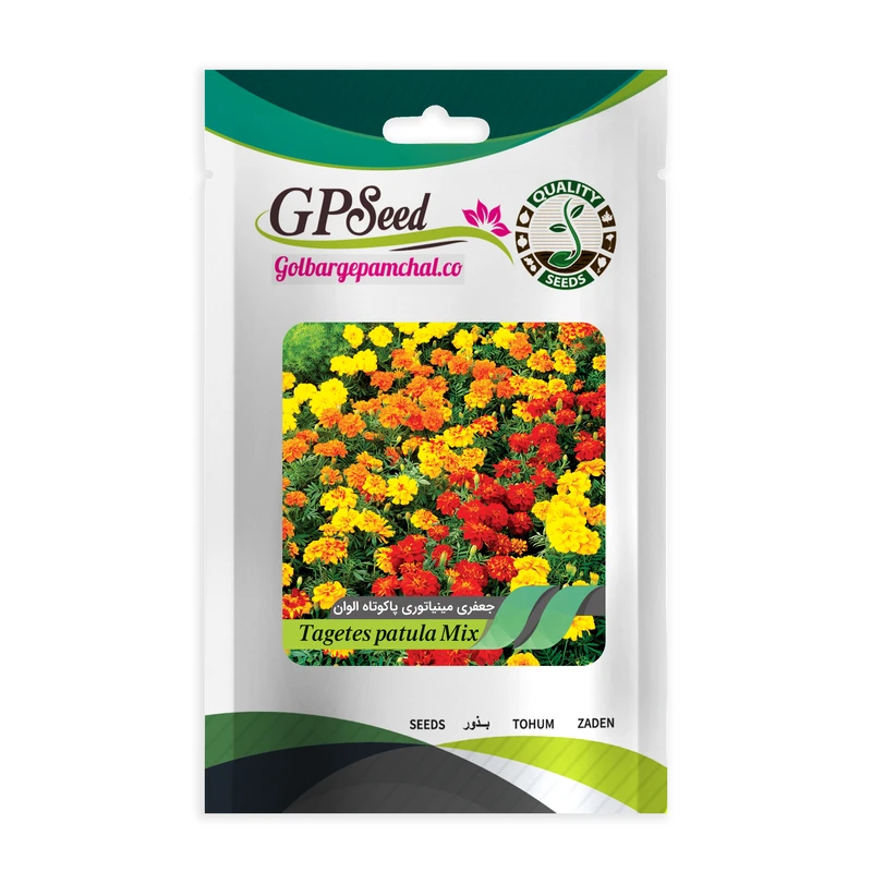 بذر گل جعفری مینیاتوری الوان گلبرگ پامچال کد GPF-040