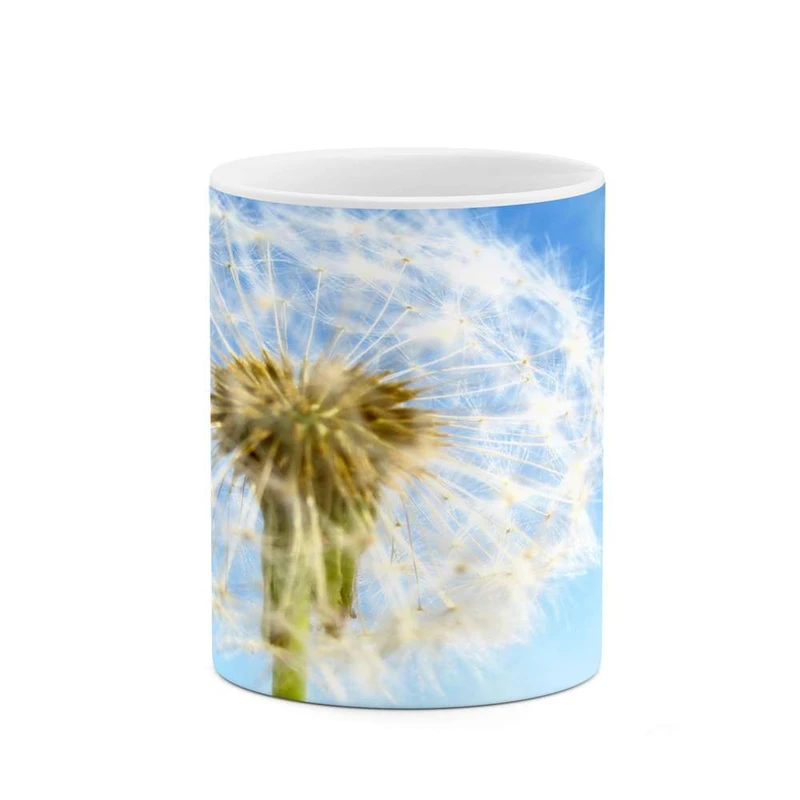 ماگ کاکتی مدل قاصدک کد mgh12074