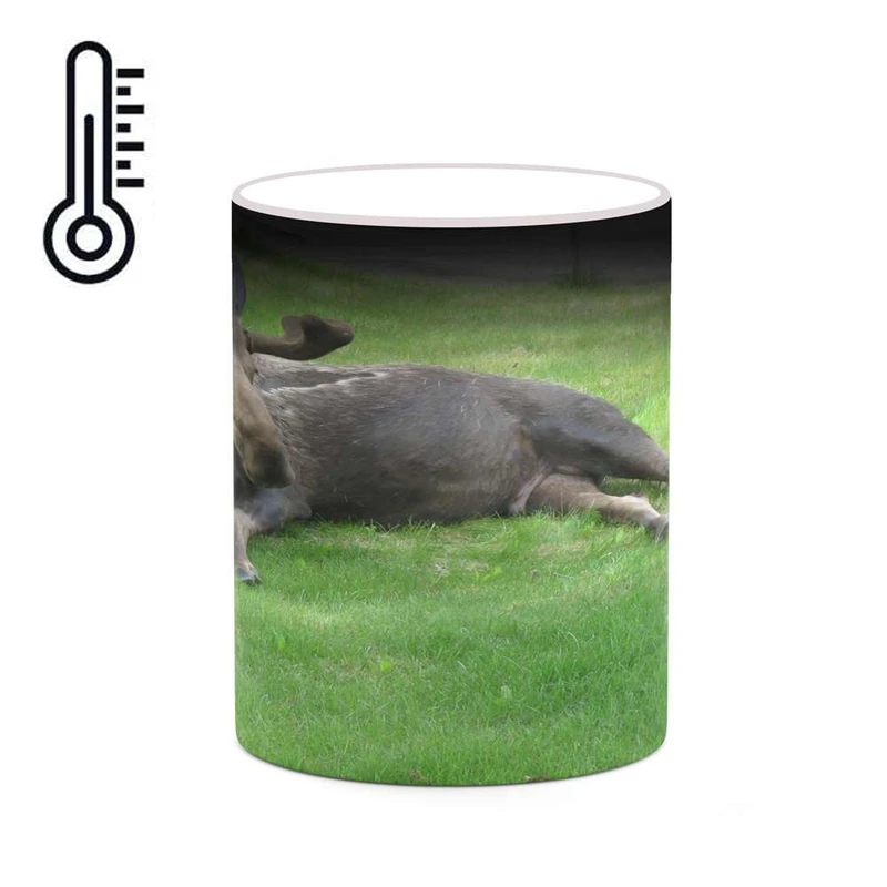 ماگ حرارتی کاکتی مدل گوزن کد mgh19226