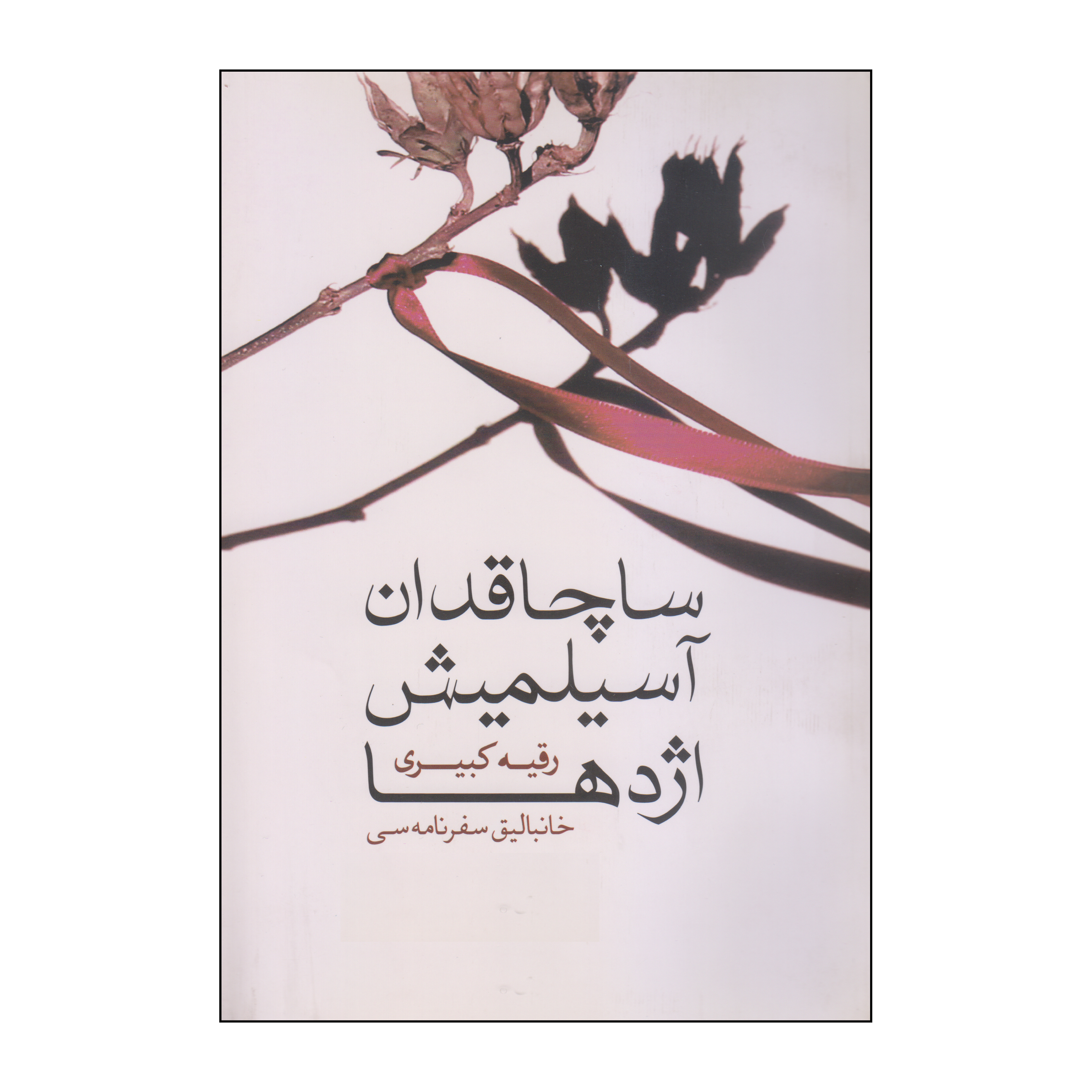 کتاب ساچاقدان آسیلمیش اژدها اثر رقیه کبیری انتشارات موغام