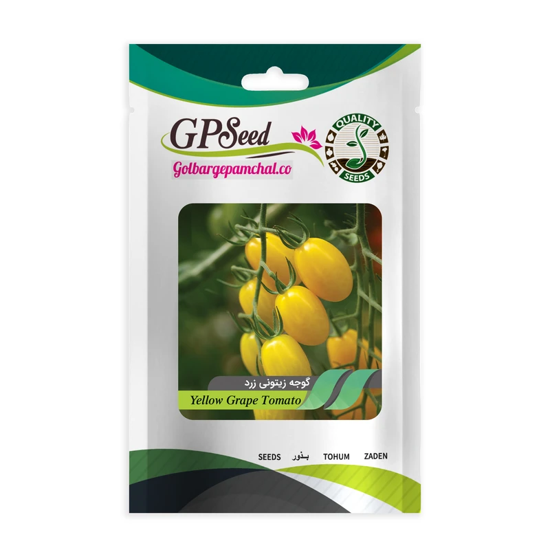 بذر گوجه چری زیتونی زرد گلبرگ پامچال کد GPF-199