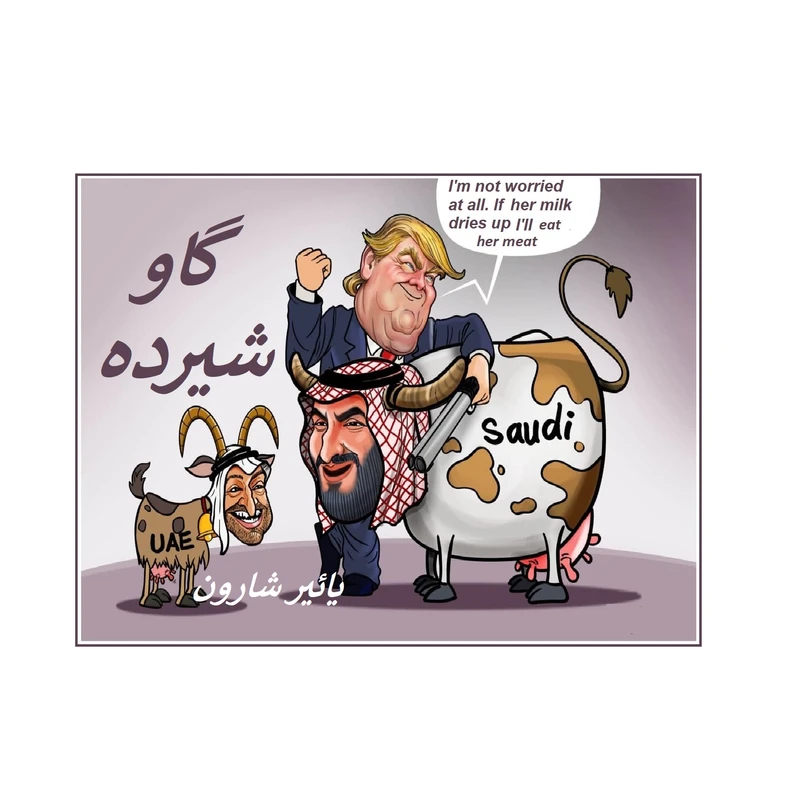 کتاب گاو شیرده اثر یائیر شارون انتشارات کهکشان علم