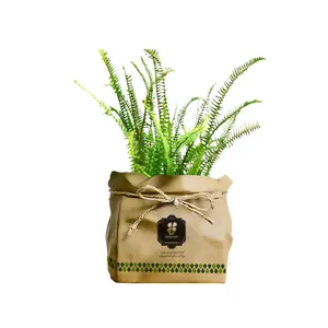 گیاه طبیعی سرخس گلباران سبز گیلان مدل GN13-39K