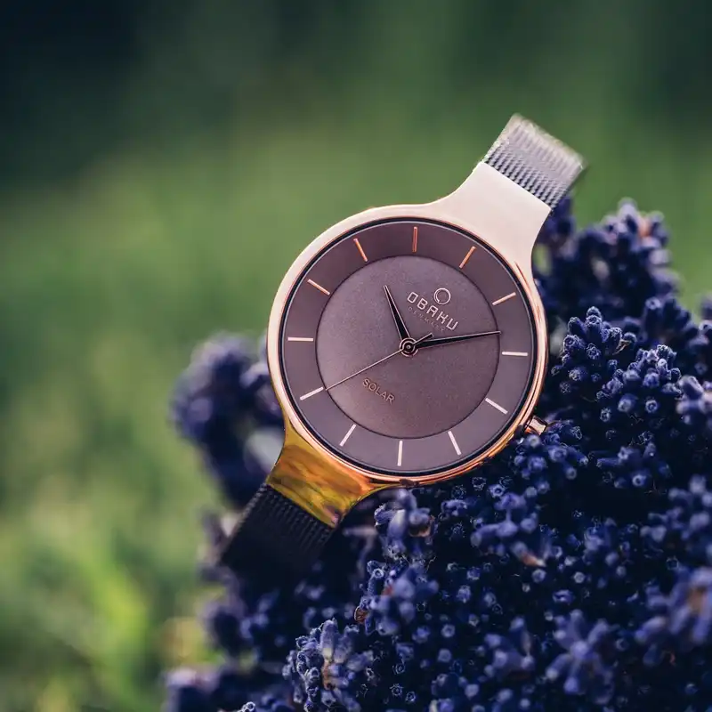 ساعت مچی عقربه ای زنانه اباکو مدل V221LRVNMN