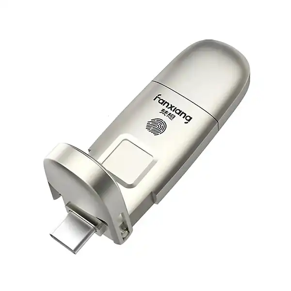 فلش مموری فانشیانگ مدل FP651 ظرفیت 128گیگابایت