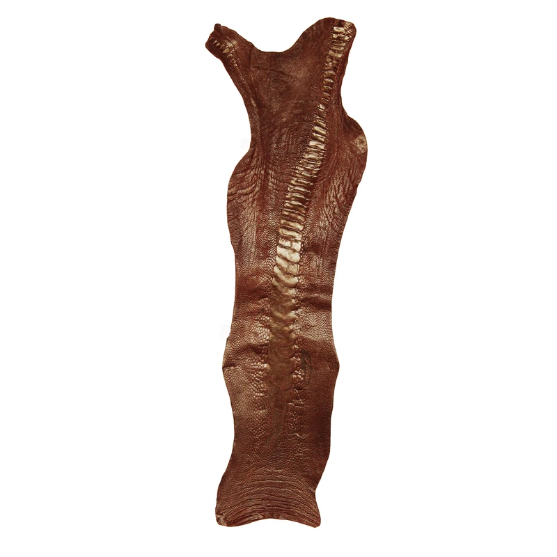 چرم طبیعی مدل ساق شتر مرغ کد OL124