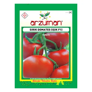 بذر گوجه فرنگی گلخانه ای آرزومان کد 11549