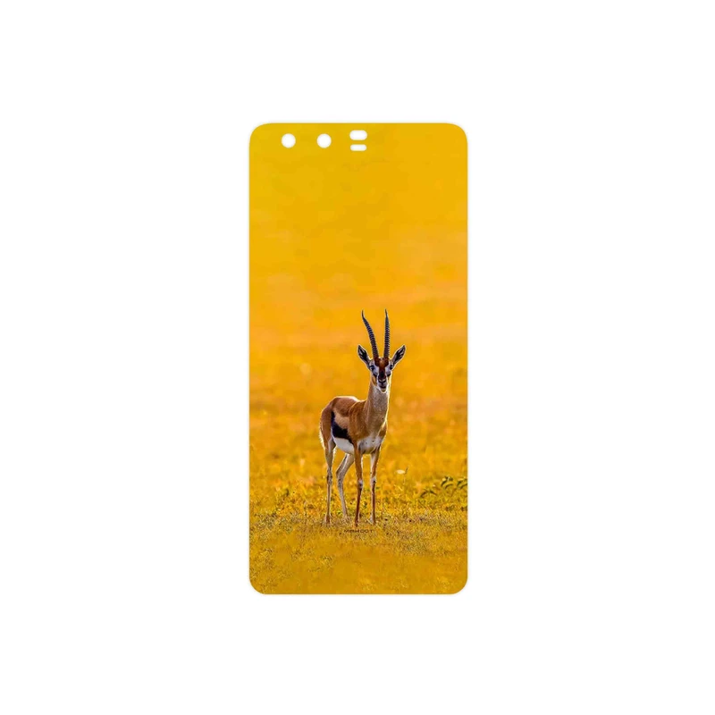 برچسب پوششی ماهوت مدل Gazelle مناسب برای گوشی موبایل هوآوی P10