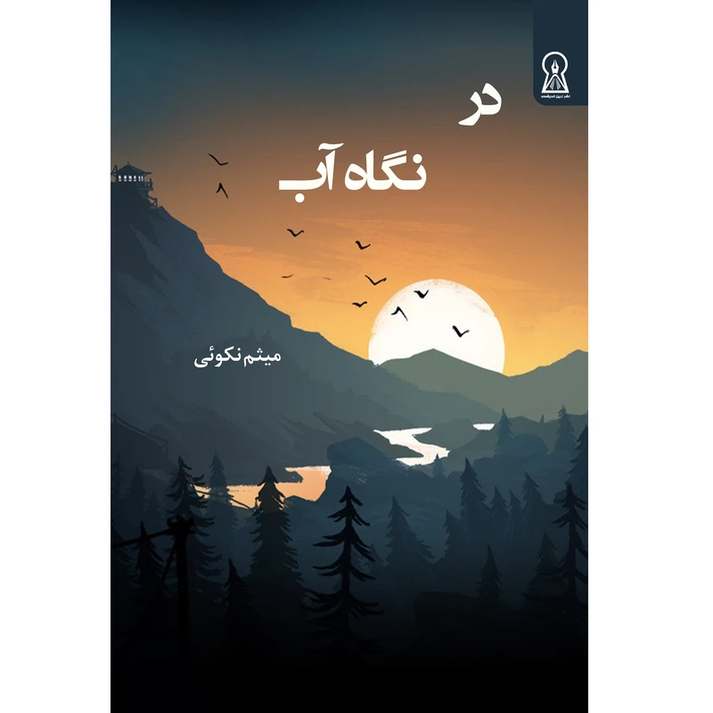 کتاب در نگاه آب اثر میثم نکوئی نشر زرین اندیشمند