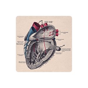 نقد و بررسی زیر لیوانی طرح قلب مدل MC1532 توسط خریداران