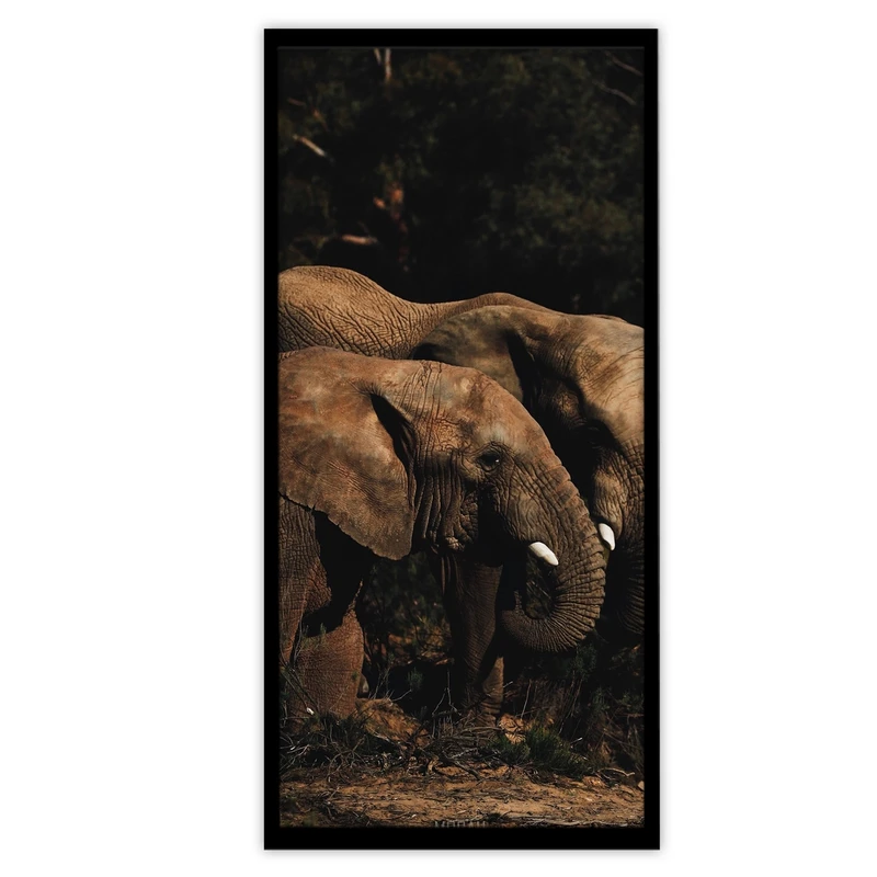 تابلو بکلیت طرح حیات وحش فیل مدل B-S3606
