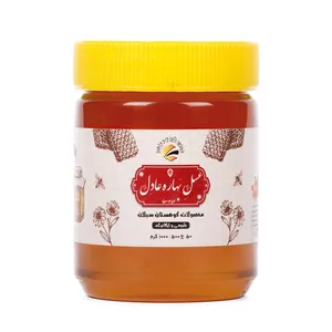 عسل طبیعی صبحانه بهاره عادل - 500 گرم