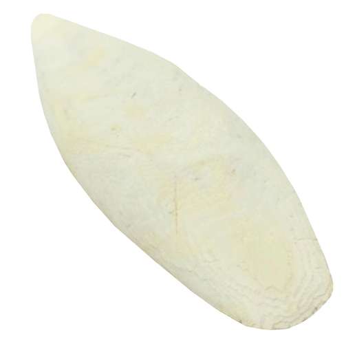 کف دریا کد irc100 وزن 100 گرم