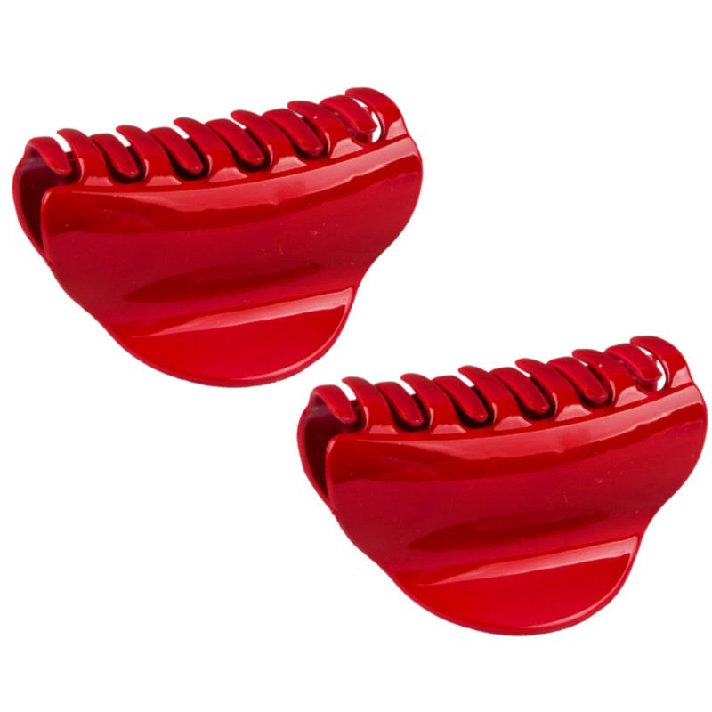 کلیپس مو زنانه مدل RS-1616 بسته 2 عددی